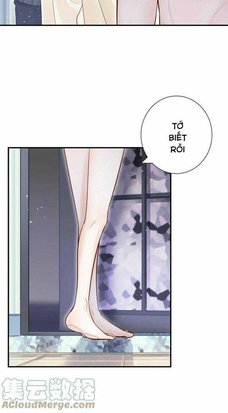 Anh Ấy Sinh Ra Đã Là Công Của Tôi Chapter 26 trang 27