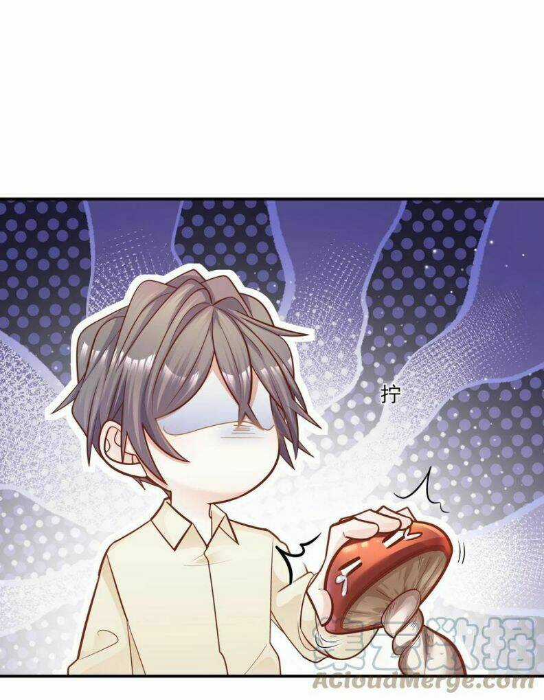 Anh Ấy Sinh Ra Đã Là Công Của Tôi Chapter 28 trang 19