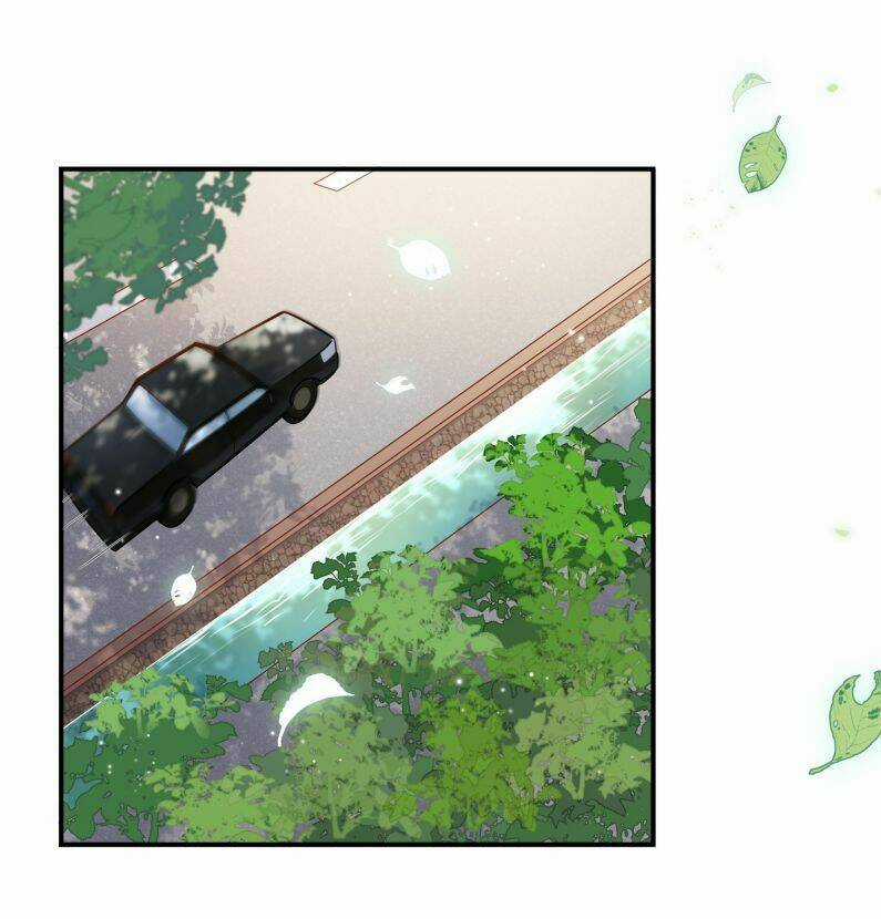 Anh Ấy Sinh Ra Đã Là Công Của Tôi Chapter 31 trang 12