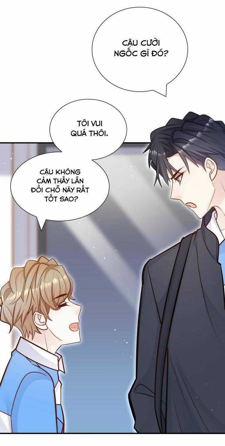 Anh Ấy Sinh Ra Đã Là Công Của Tôi Chapter 37 trang 10