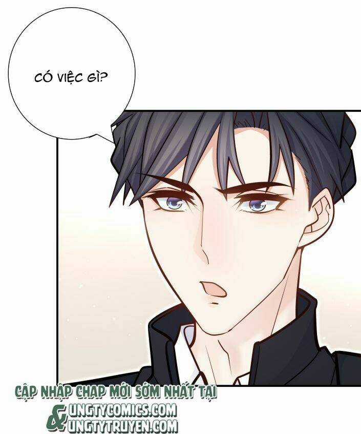 Anh Ấy Sinh Ra Đã Là Công Của Tôi Chapter 41 trang 4