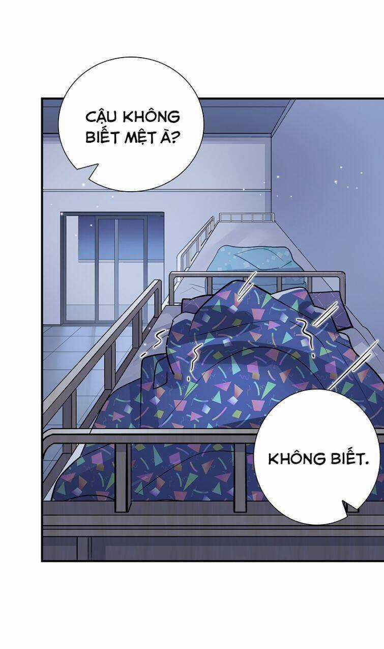 Anh Ấy Sinh Ra Đã Là Công Của Tôi Chapter 44 trang 15