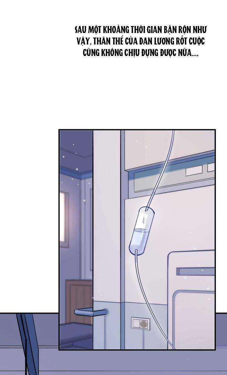 Anh Ấy Sinh Ra Đã Là Công Của Tôi Chapter 49 trang 24