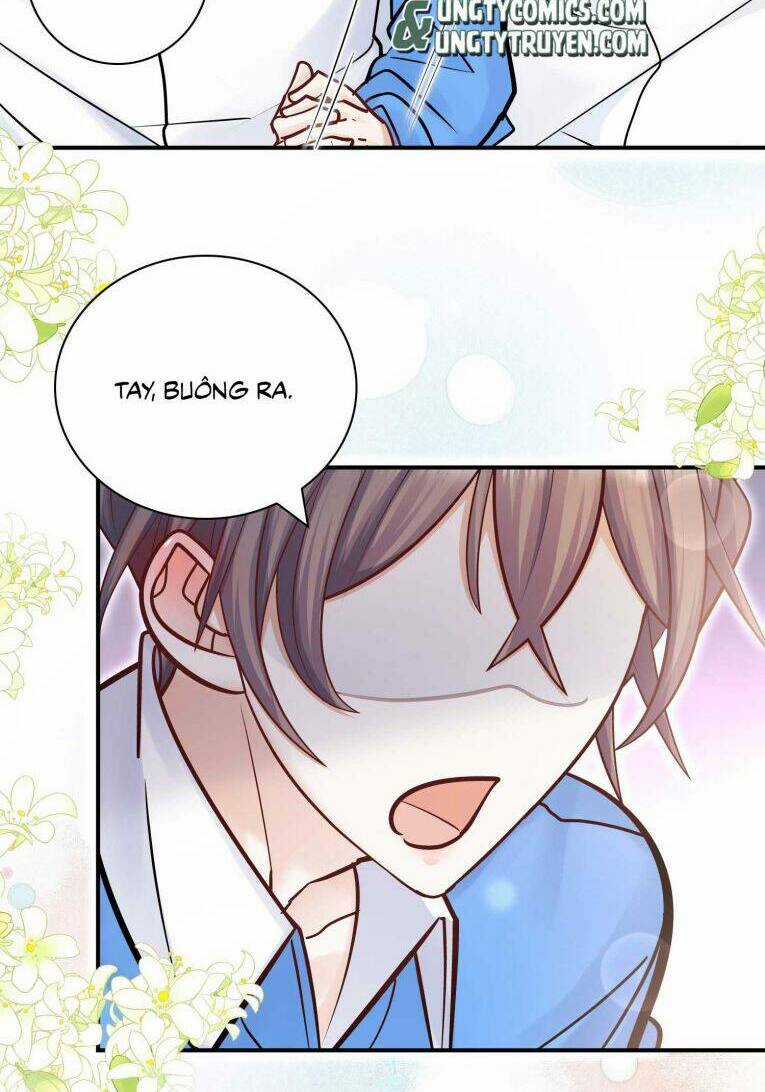 Anh Ấy Sinh Ra Đã Là Công Của Tôi Chapter 55 trang 56