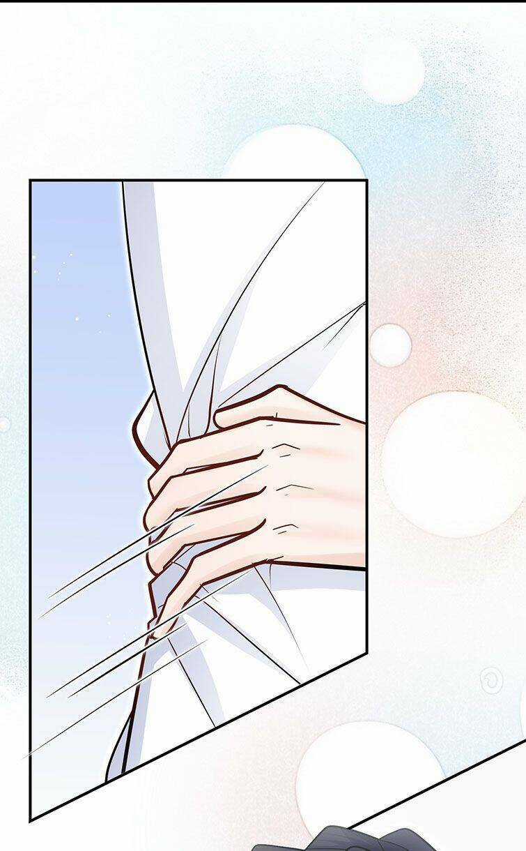 Anh Ấy Sinh Ra Đã Là Công Của Tôi Chapter 56 trang 13