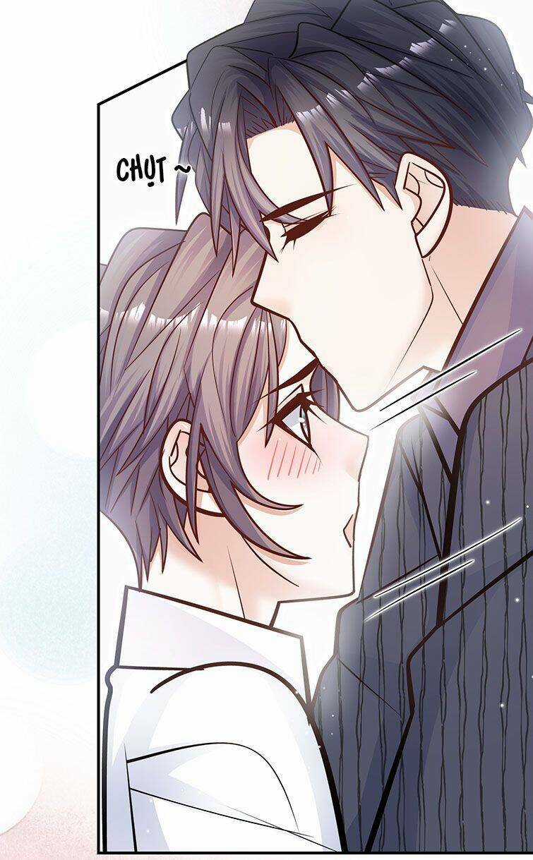 Anh Ấy Sinh Ra Đã Là Công Của Tôi Chapter 56 trang 14