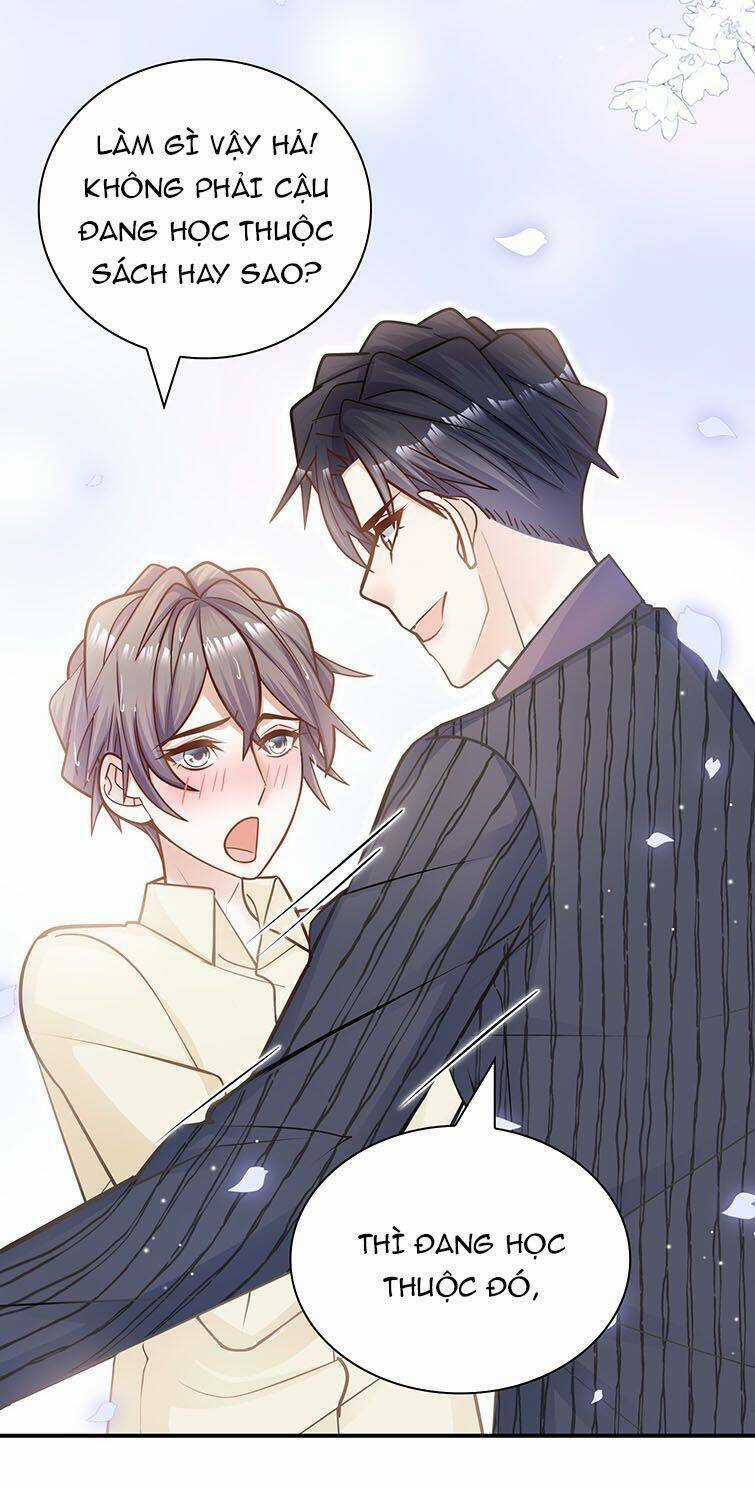 Anh Ấy Sinh Ra Đã Là Công Của Tôi Chapter 56 trang 23