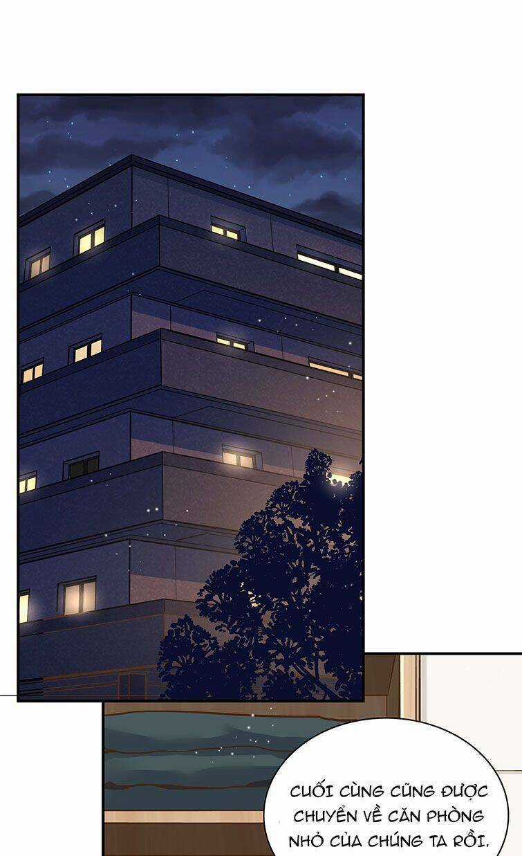 Anh Ấy Sinh Ra Đã Là Công Của Tôi Chapter 56 trang 4