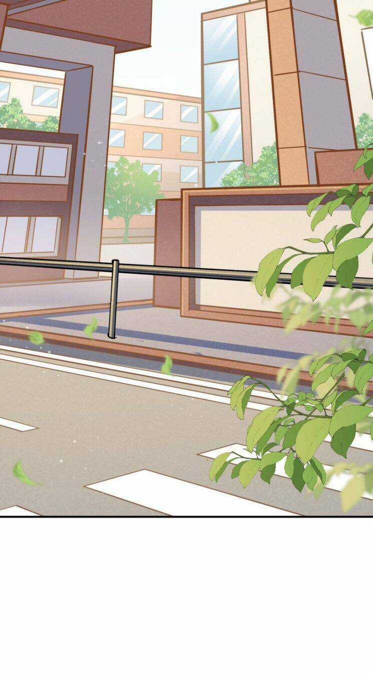 Anh Ấy Sinh Ra Đã Là Công Của Tôi Chapter 60 trang 4