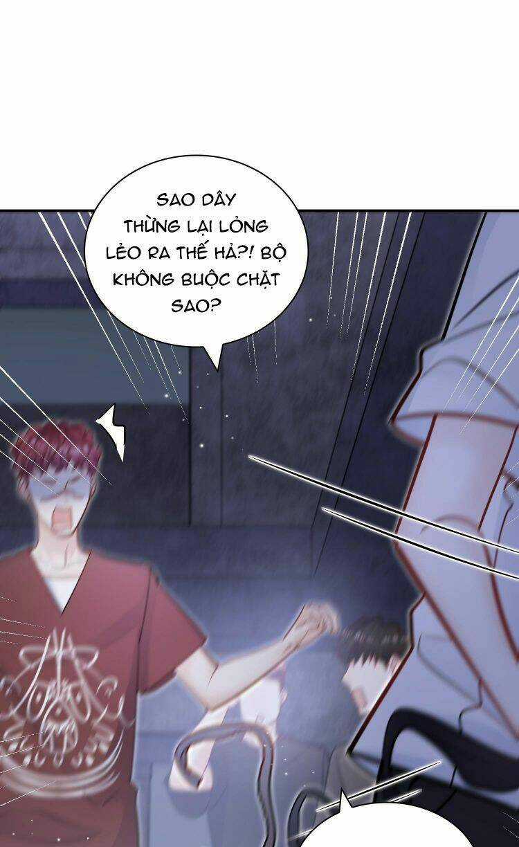 Anh Ấy Sinh Ra Đã Là Công Của Tôi Chapter 70 trang 13