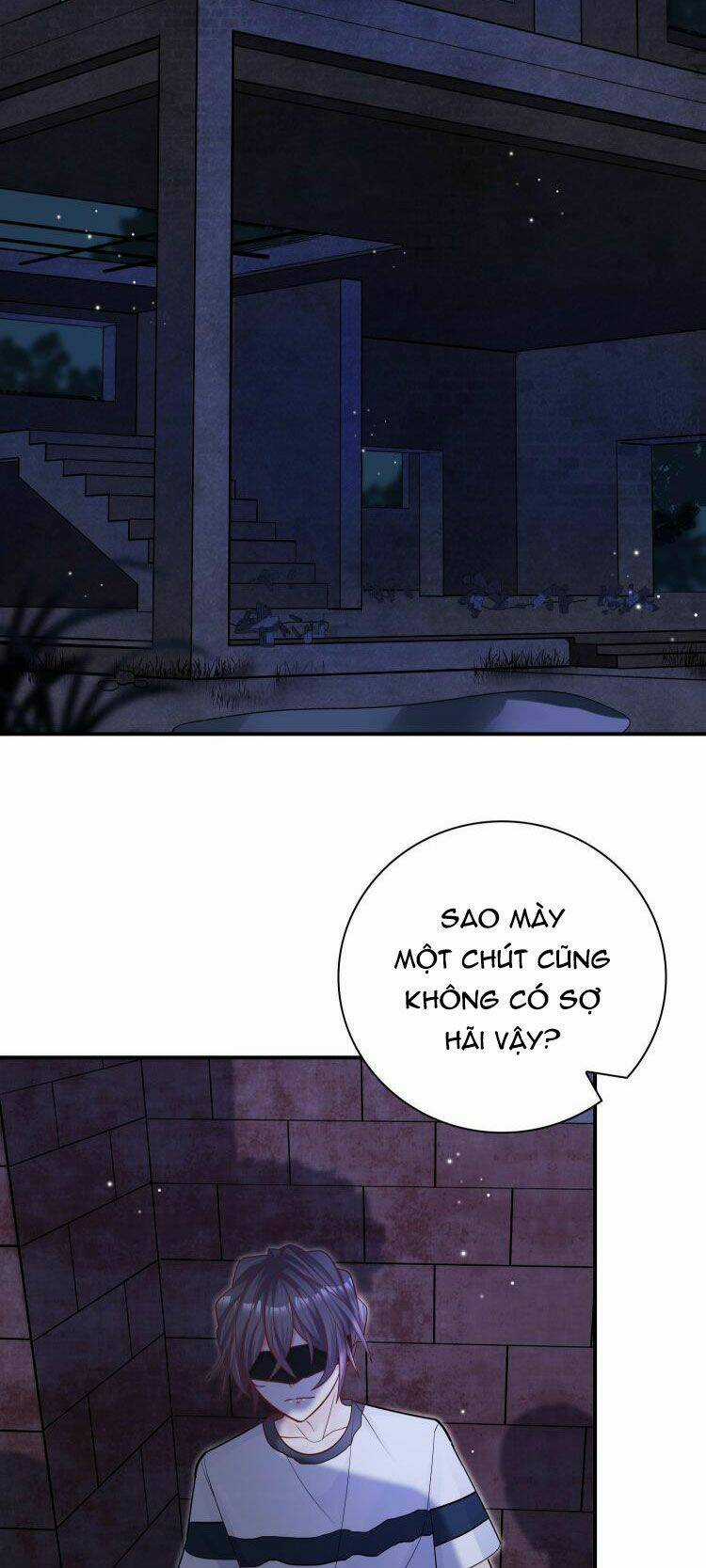 Anh Ấy Sinh Ra Đã Là Công Của Tôi Chapter 70 trang 4