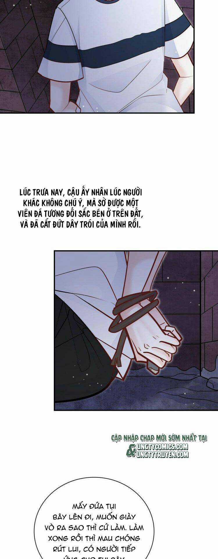 Anh Ấy Sinh Ra Đã Là Công Của Tôi Chapter 70 trang 8