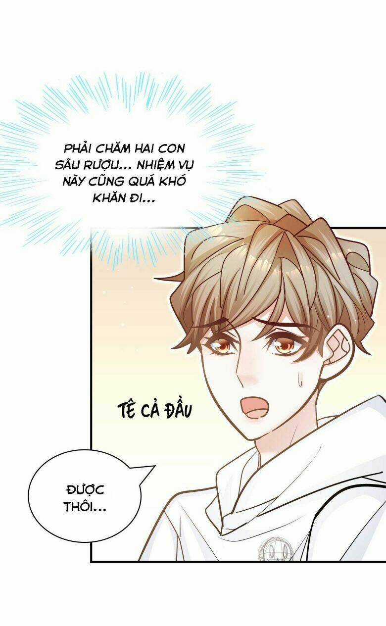 Anh Ấy Sinh Ra Đã Là Công Của Tôi Chapter 71 trang 38