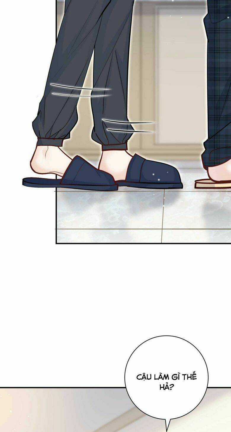 Anh Ấy Sinh Ra Đã Là Công Của Tôi Chapter 71 trang 46