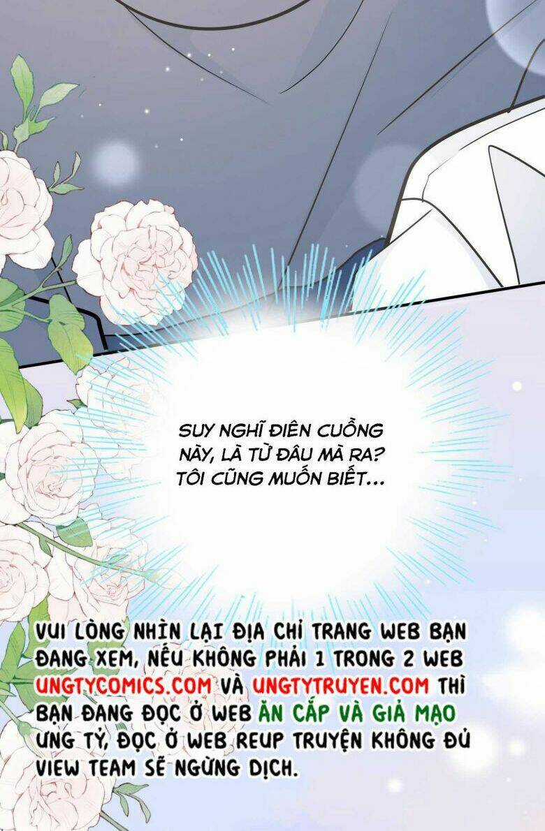 Anh Ấy Sinh Ra Đã Là Công Của Tôi Chapter 71 trang 49