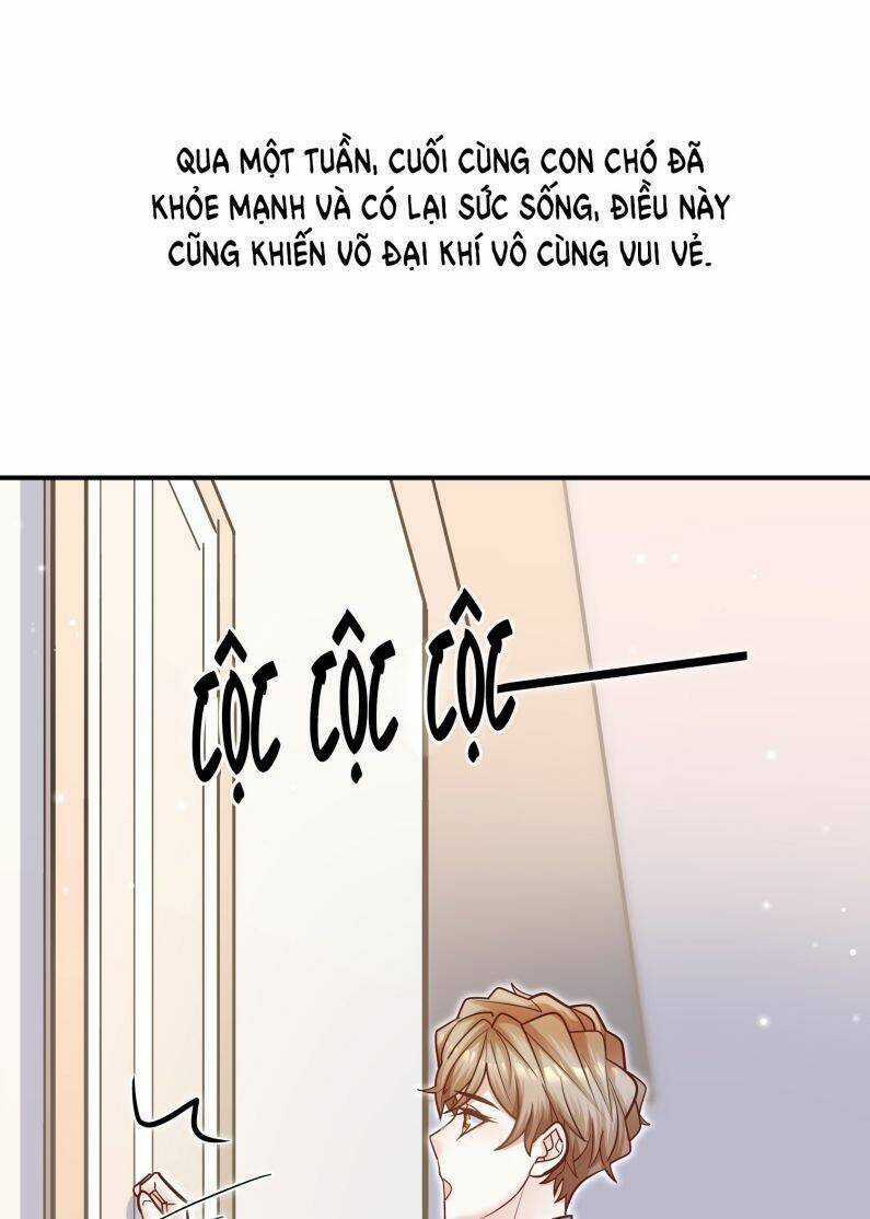 Anh Ấy Sinh Ra Đã Là Công Của Tôi Chapter 75 trang 16