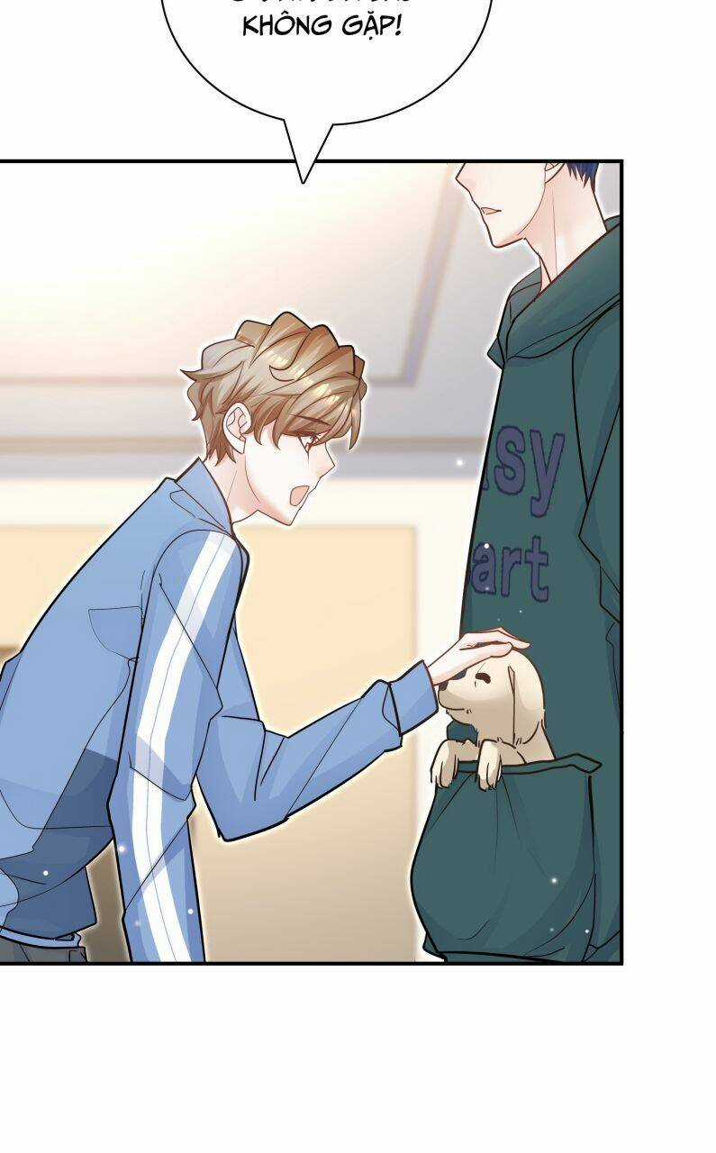 Anh Ấy Sinh Ra Đã Là Công Của Tôi Chapter 75 trang 25