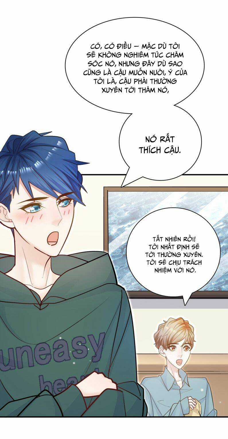 Anh Ấy Sinh Ra Đã Là Công Của Tôi Chapter 75 trang 39