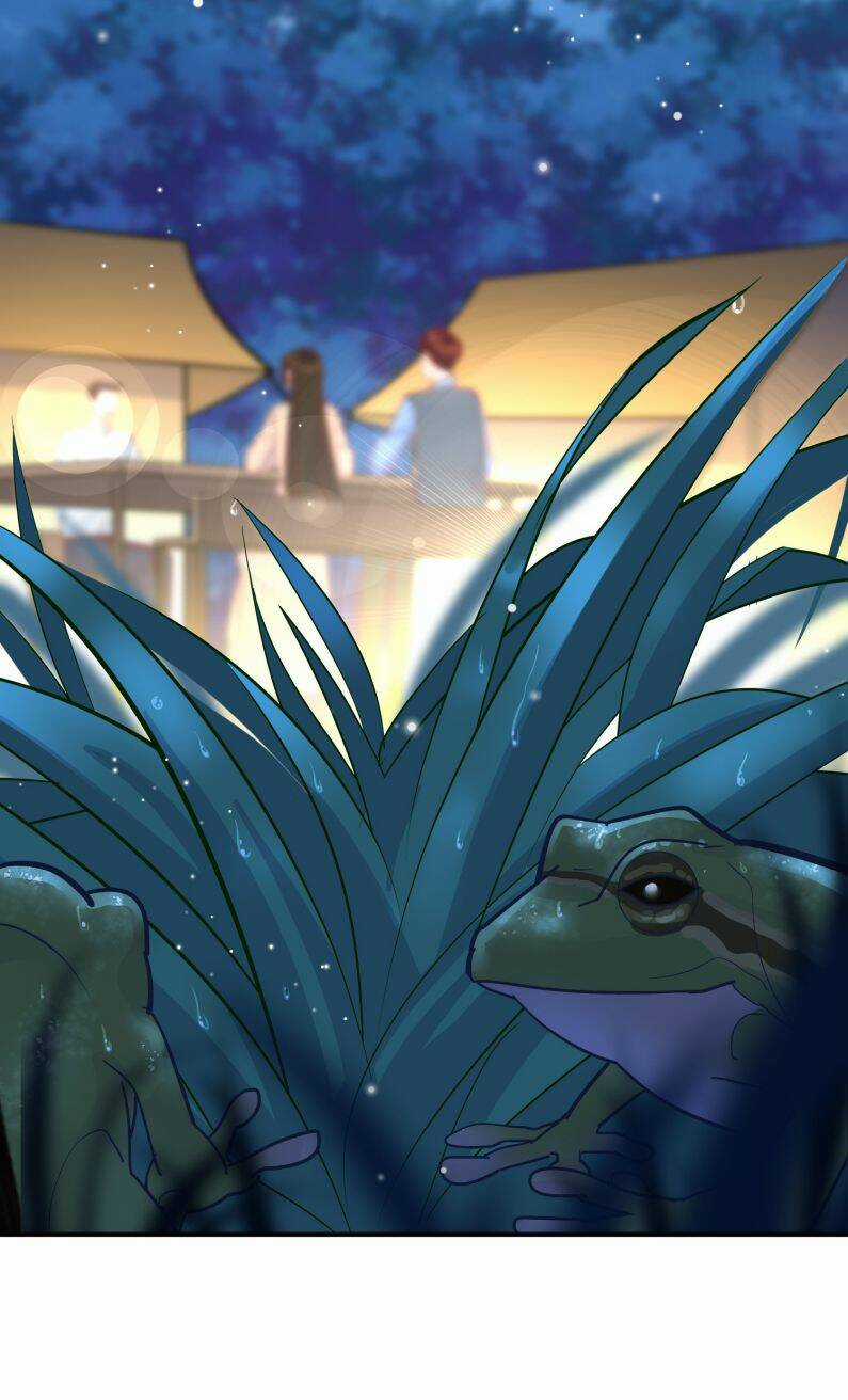 Anh Ấy Sinh Ra Đã Là Công Của Tôi Chapter 77 trang 10