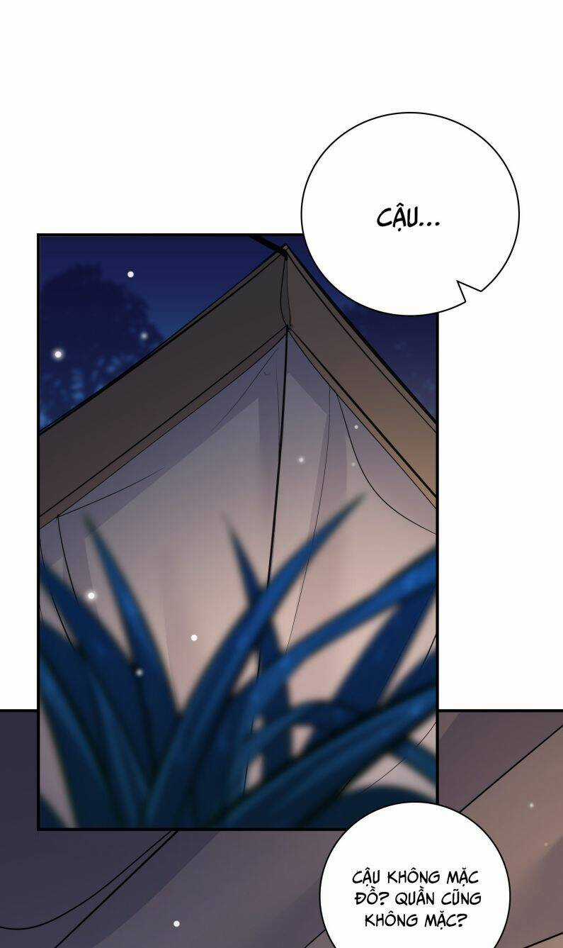 Anh Ấy Sinh Ra Đã Là Công Của Tôi Chapter 77 trang 11