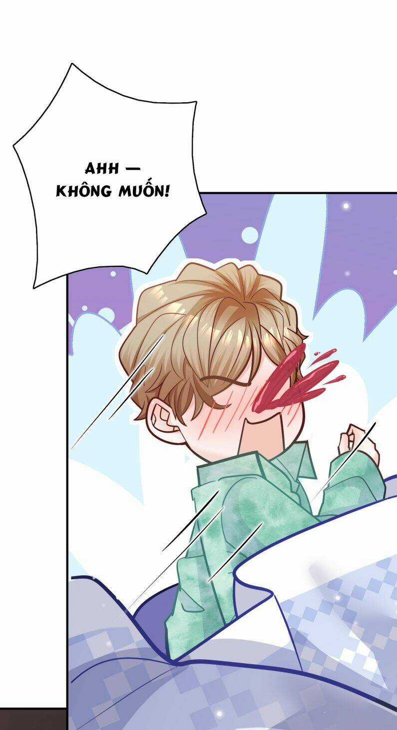 Anh Ấy Sinh Ra Đã Là Công Của Tôi Chapter 77 trang 14