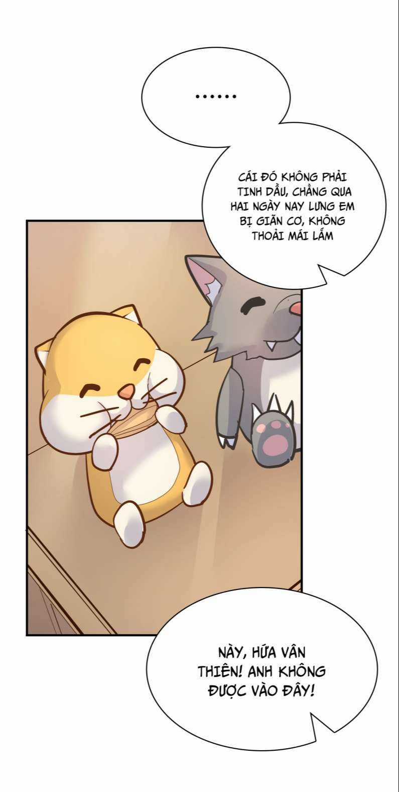 Anh Ấy Sinh Ra Đã Là Công Của Tôi Chapter 81 trang 31