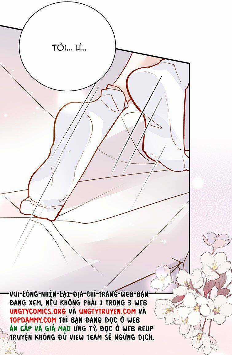 Anh Ấy Sinh Ra Đã Là Công Của Tôi Chapter 84 trang 41