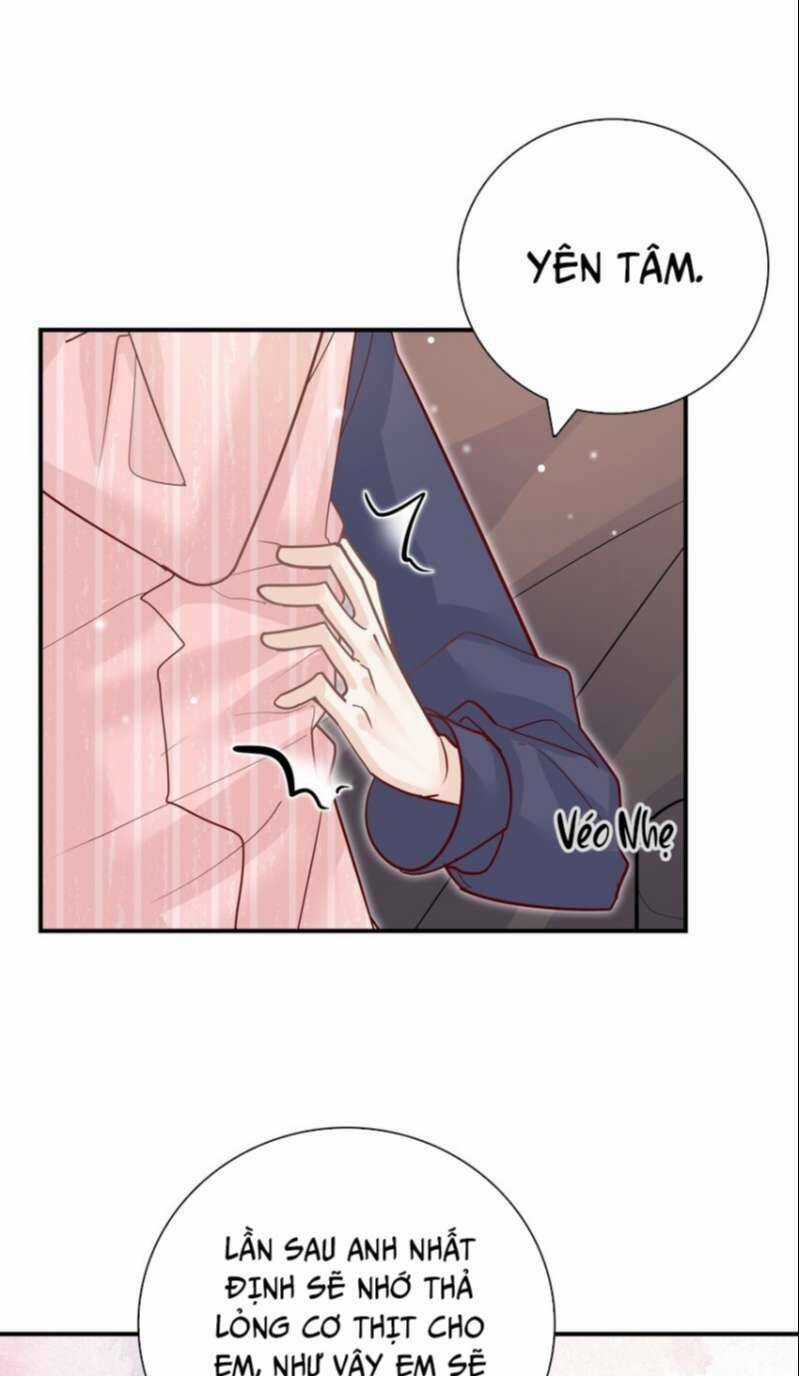 Anh Ấy Sinh Ra Đã Là Công Của Tôi Chapter 85 trang 33