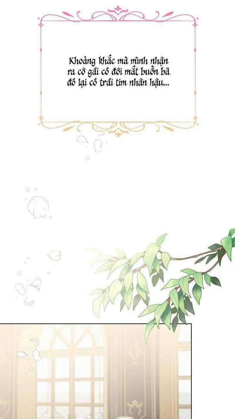 Anh Ấy Thích Tôi Nhiều Hơn Tôi Nghĩ Chapter 11 trang 51