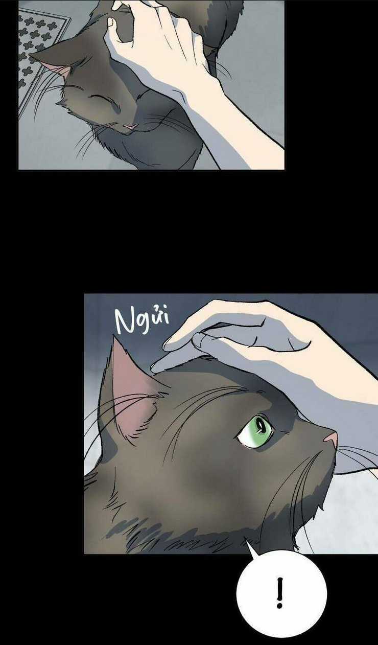 Anh Chàng Lầu Trên Chapter 15 trang 6