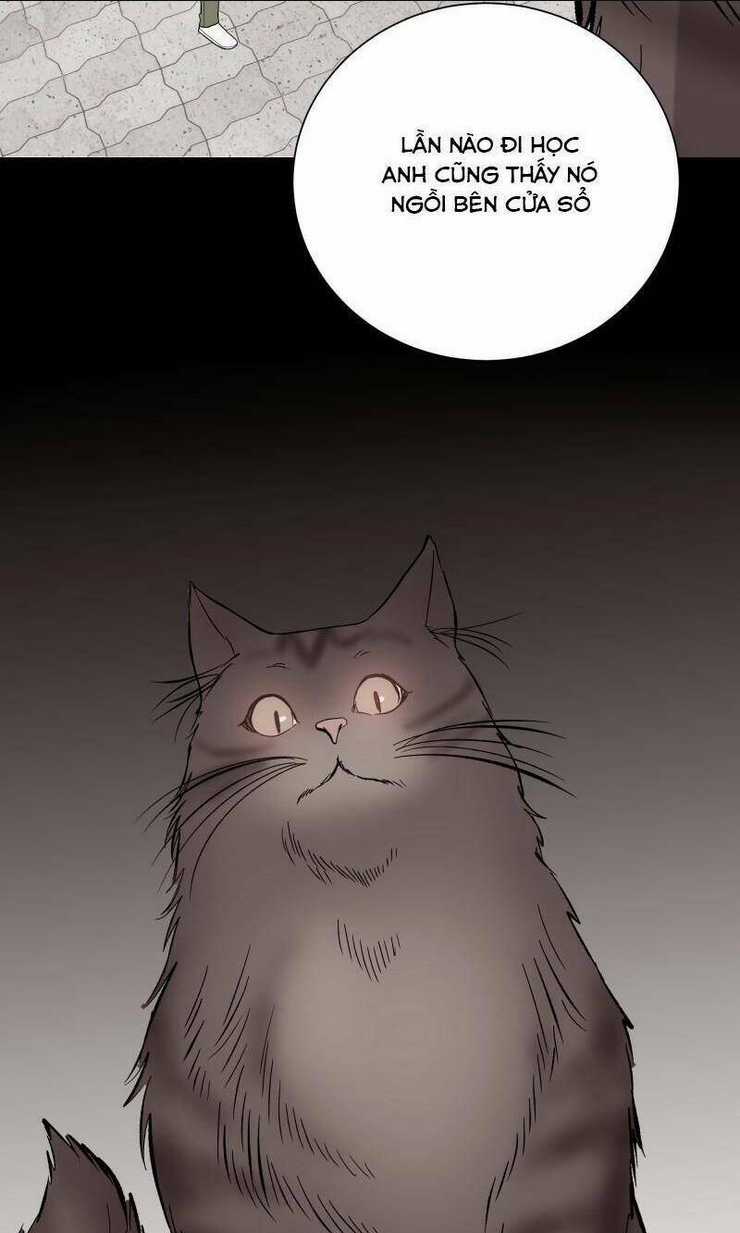 Anh Chàng Lầu Trên Chapter 27 trang 11