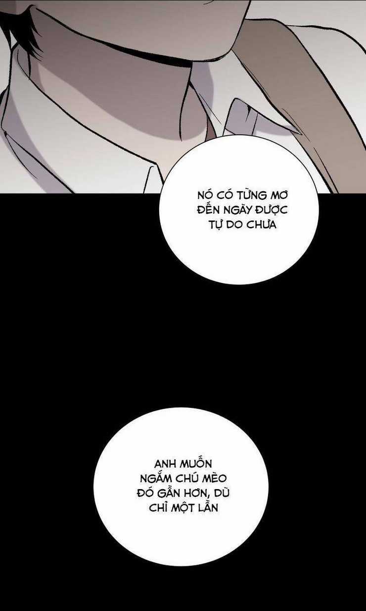 Anh Chàng Lầu Trên Chapter 27 trang 13