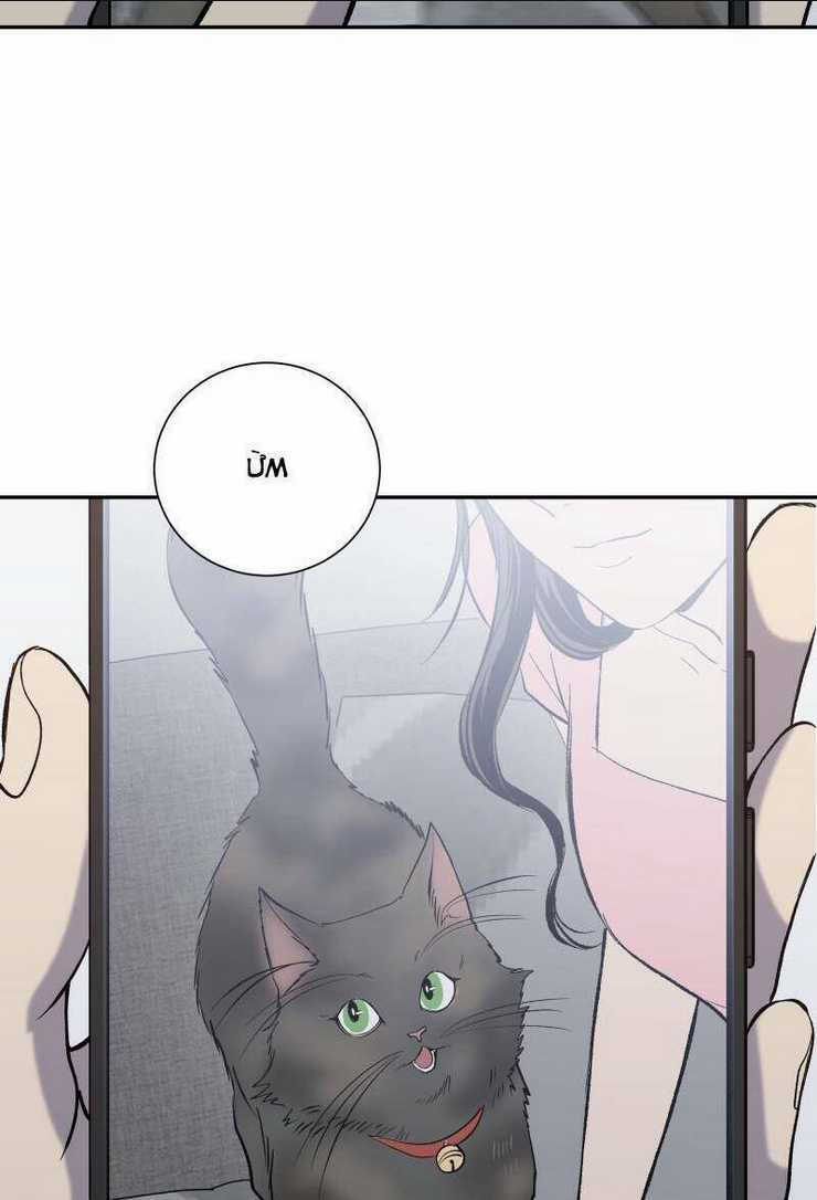 Anh Chàng Lầu Trên Chapter 27 trang 3