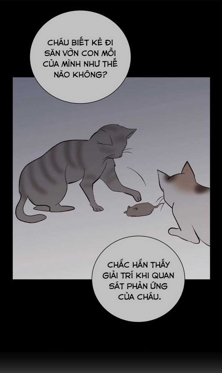 Anh Chàng Lầu Trên Chapter 35 trang 14