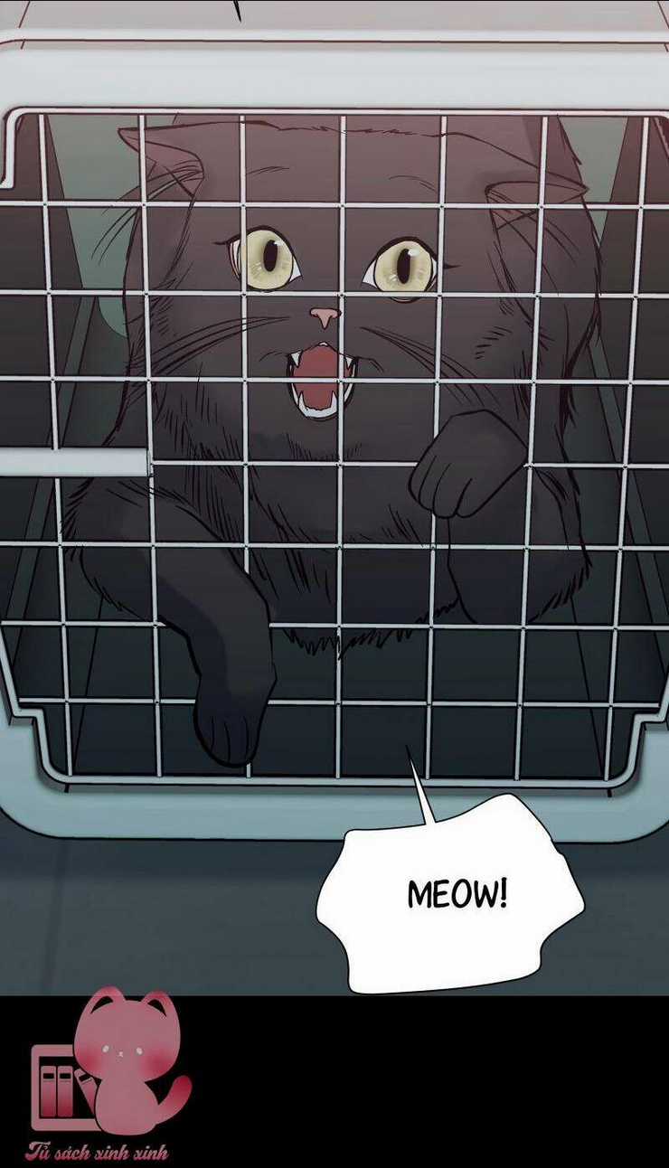 Anh Chàng Lầu Trên Chapter 40 trang 89