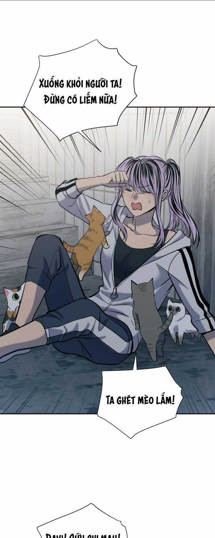 Anh Chàng Lầu Trên Chapter 48 trang 18