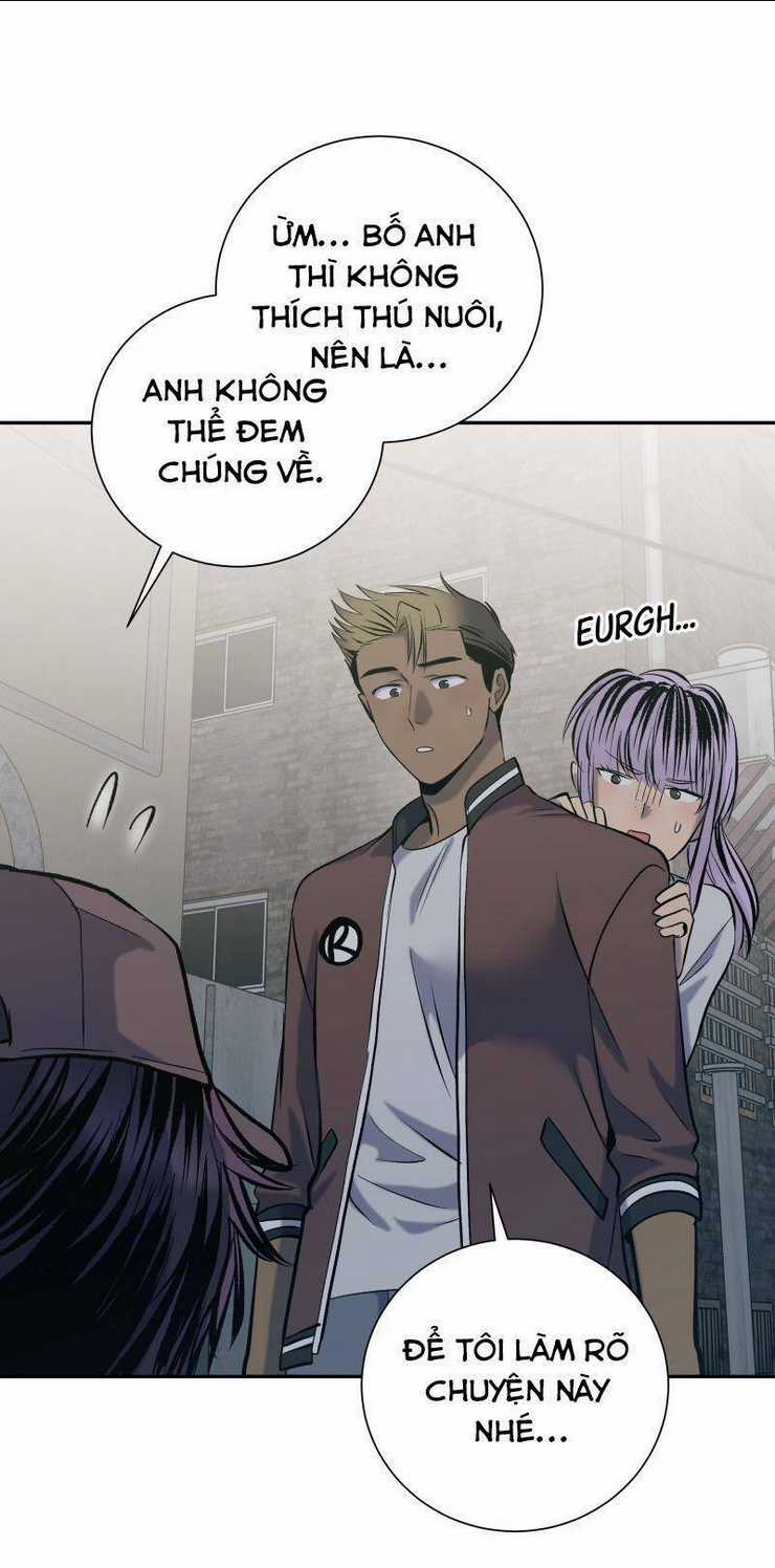 Anh Chàng Lầu Trên Chapter 48 trang 22