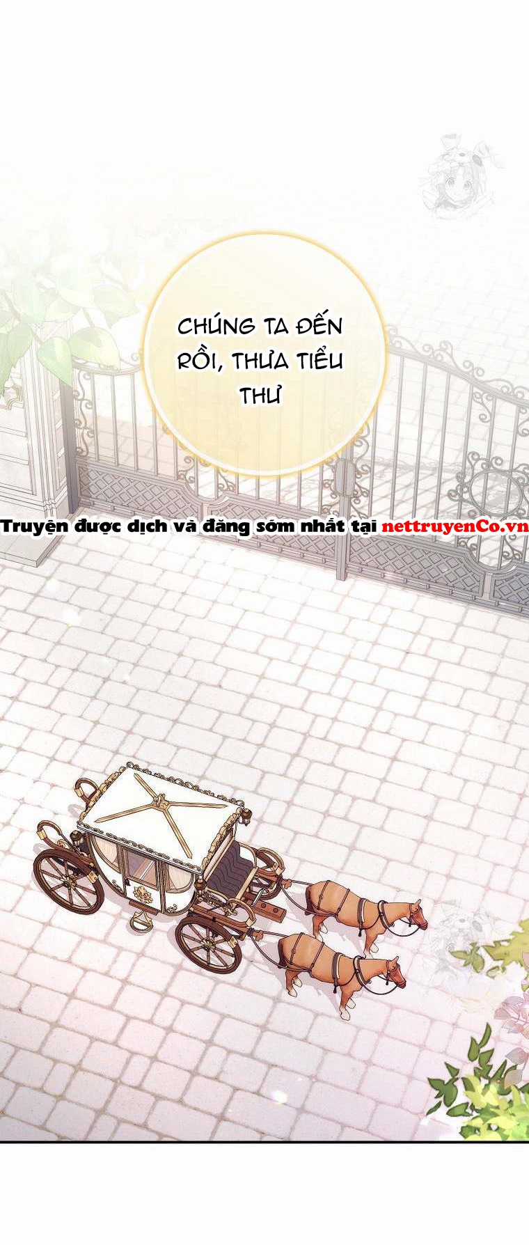 Anh Chỉ Là Đồ Bỏ Đi Của Tôi Mà Thôi Chapter 77 trang 7