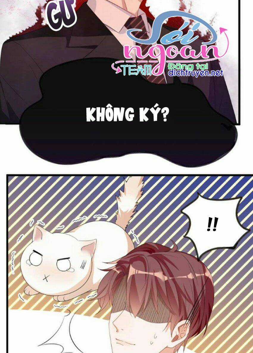 Ảnh Đế Làm Loạn Đòi Ly Hôn Chapter 1 trang 35