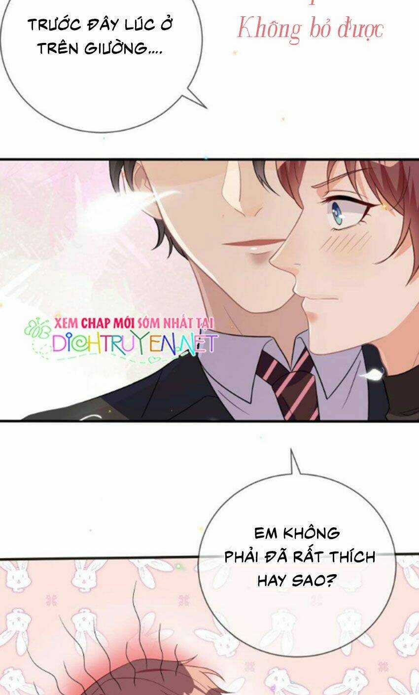 Ảnh Đế Làm Loạn Đòi Ly Hôn Chapter 11 trang 1