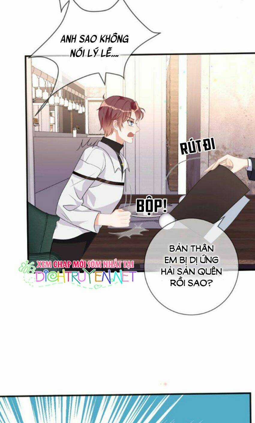 Ảnh Đế Làm Loạn Đòi Ly Hôn Chapter 11 trang 6