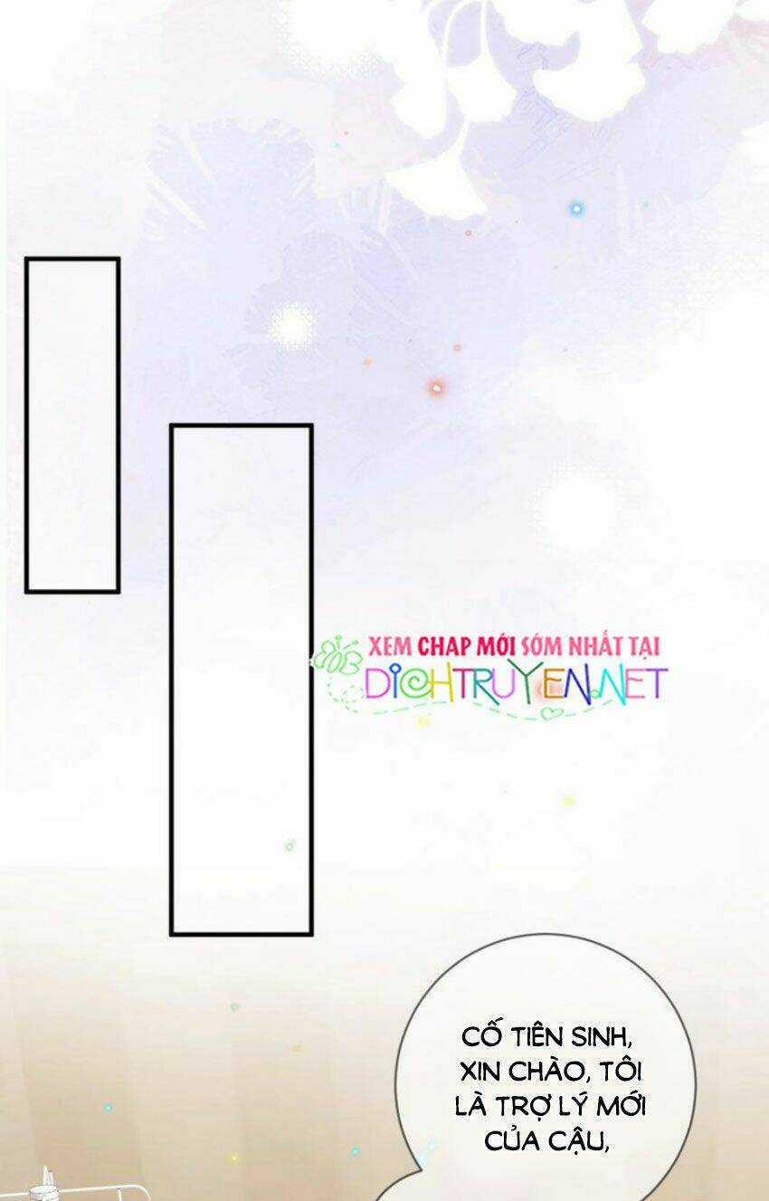 Ảnh Đế Làm Loạn Đòi Ly Hôn Chapter 14 trang 19