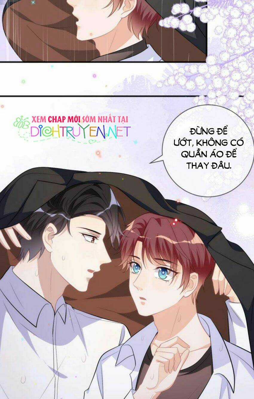 Ảnh Đế Làm Loạn Đòi Ly Hôn Chapter 16 trang 8
