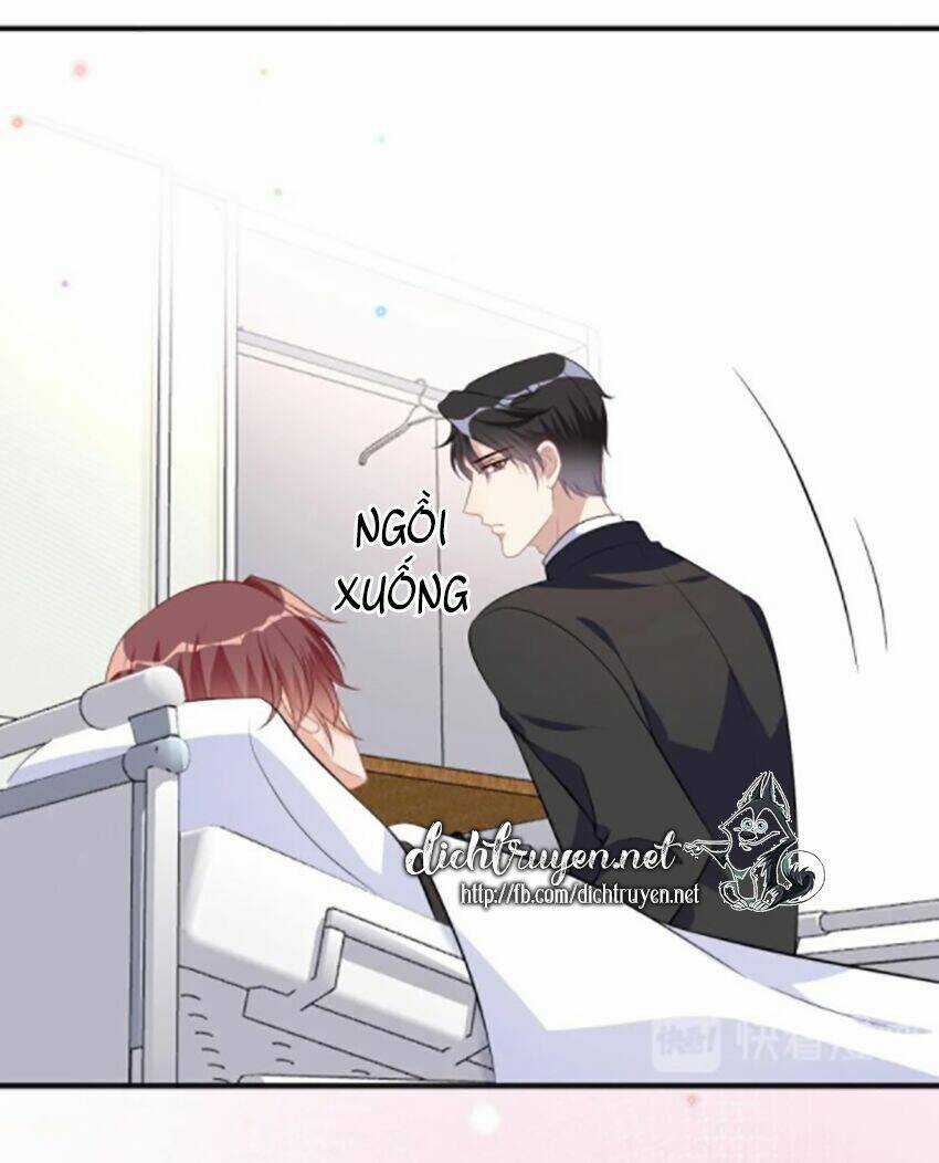 Ảnh Đế Làm Loạn Đòi Ly Hôn Chapter 17 trang 24