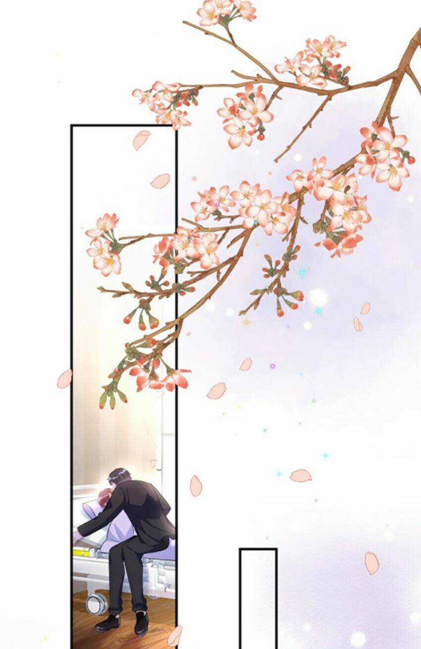 Ảnh Đế Làm Loạn Đòi Ly Hôn Chapter 17 trang 27