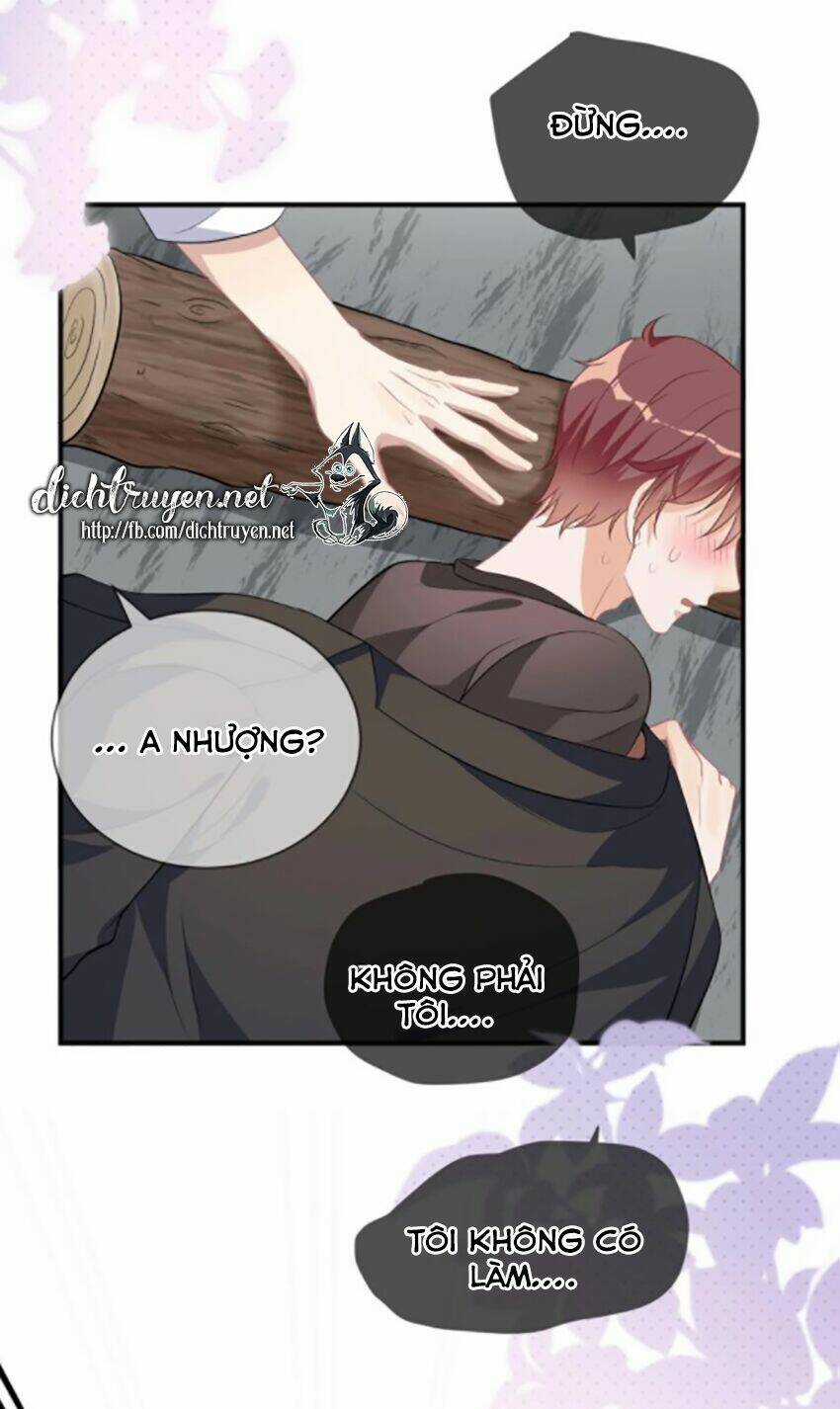 Ảnh Đế Làm Loạn Đòi Ly Hôn Chapter 17 trang 5