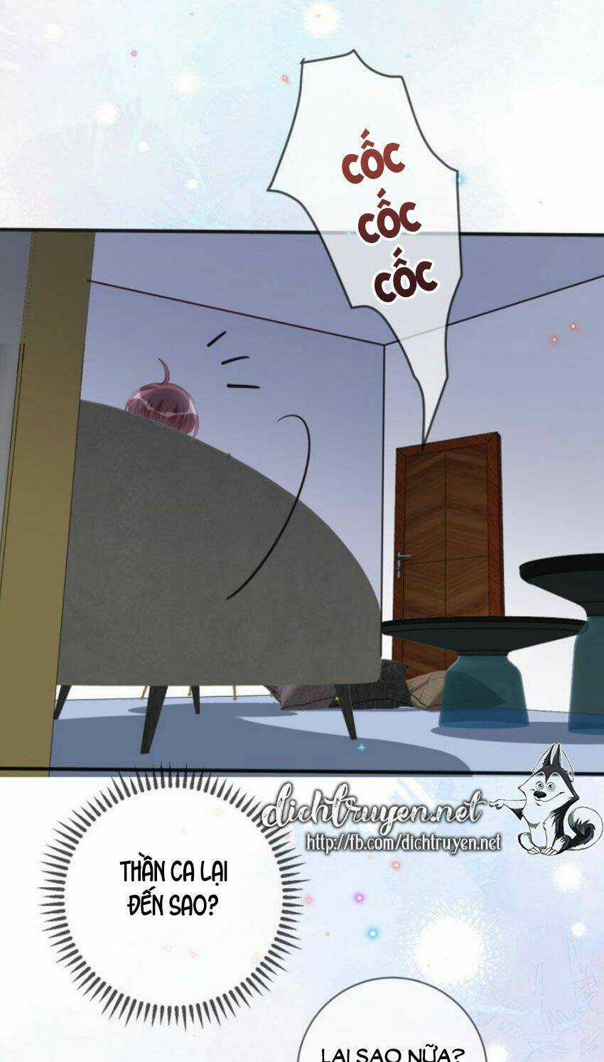 Ảnh Đế Làm Loạn Đòi Ly Hôn Chapter 19 trang 10