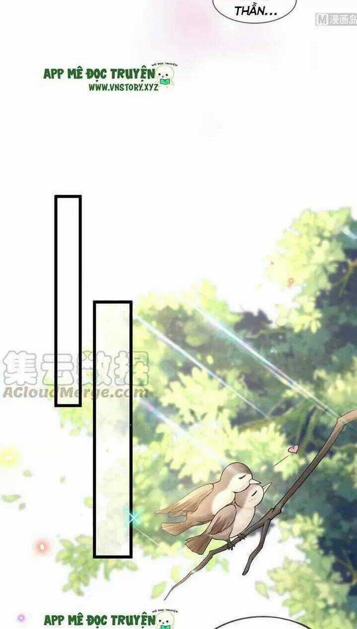 Ảnh Đế Làm Loạn Đòi Ly Hôn Chapter 26 trang 6