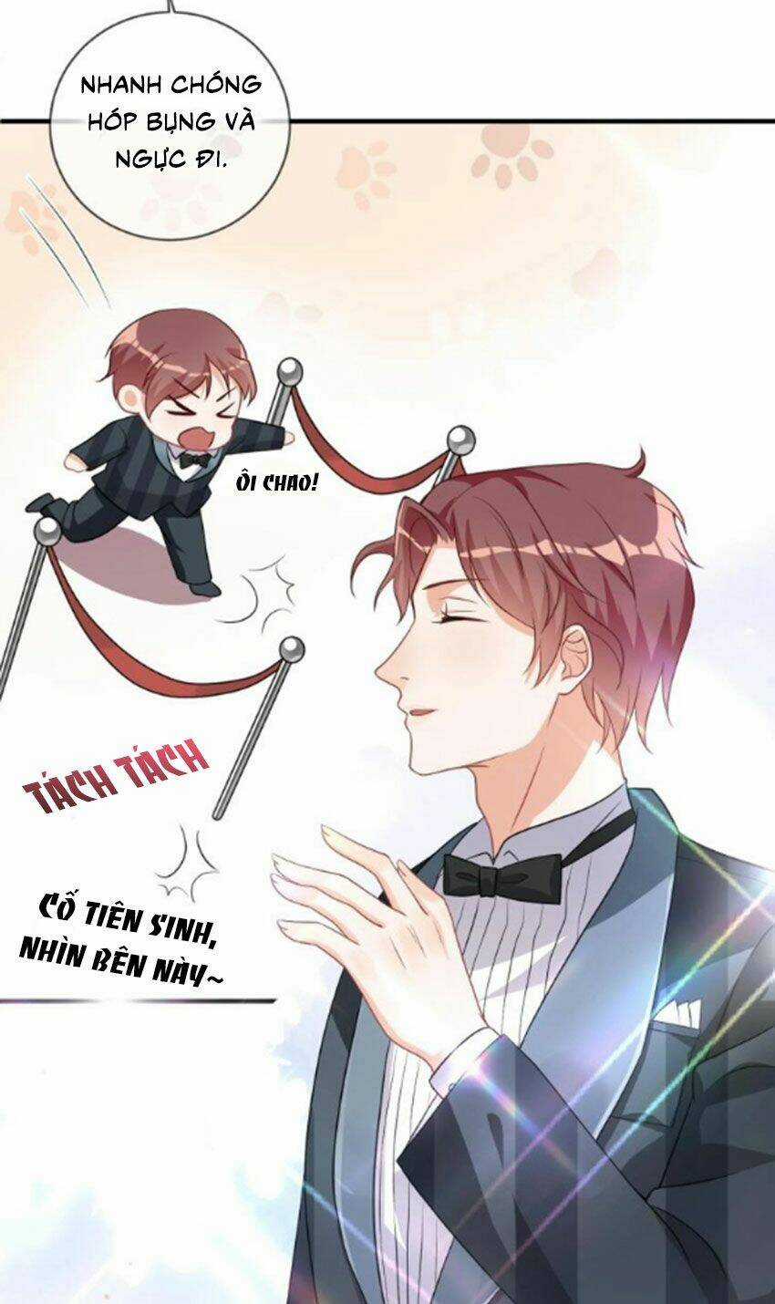 Ảnh Đế Làm Loạn Đòi Ly Hôn Chapter 3 trang 15