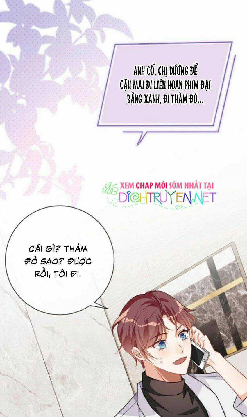 Ảnh Đế Làm Loạn Đòi Ly Hôn Chapter 3 trang 6